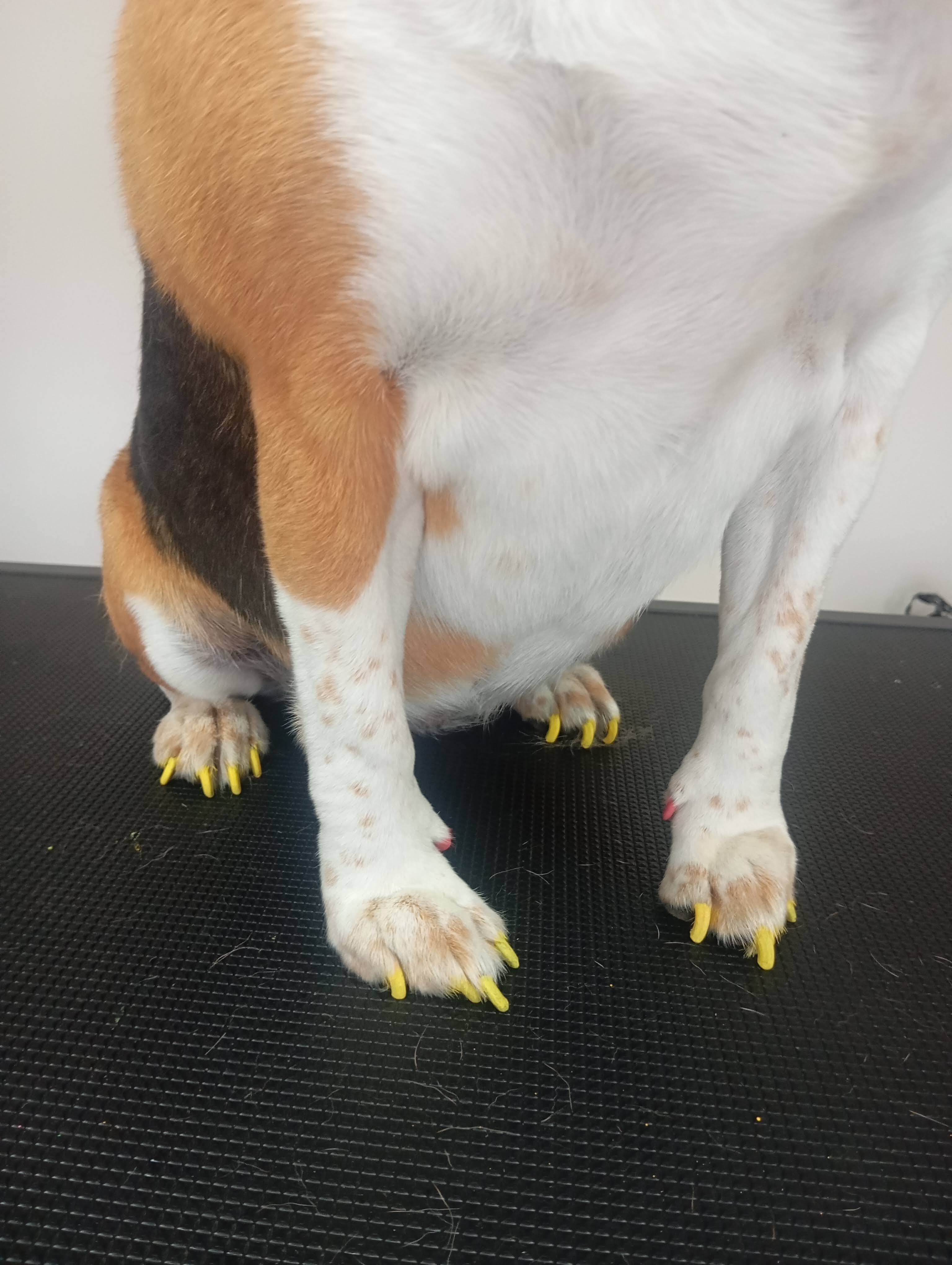 Limpeza de Ouvidos e Unhas - Imagem principal