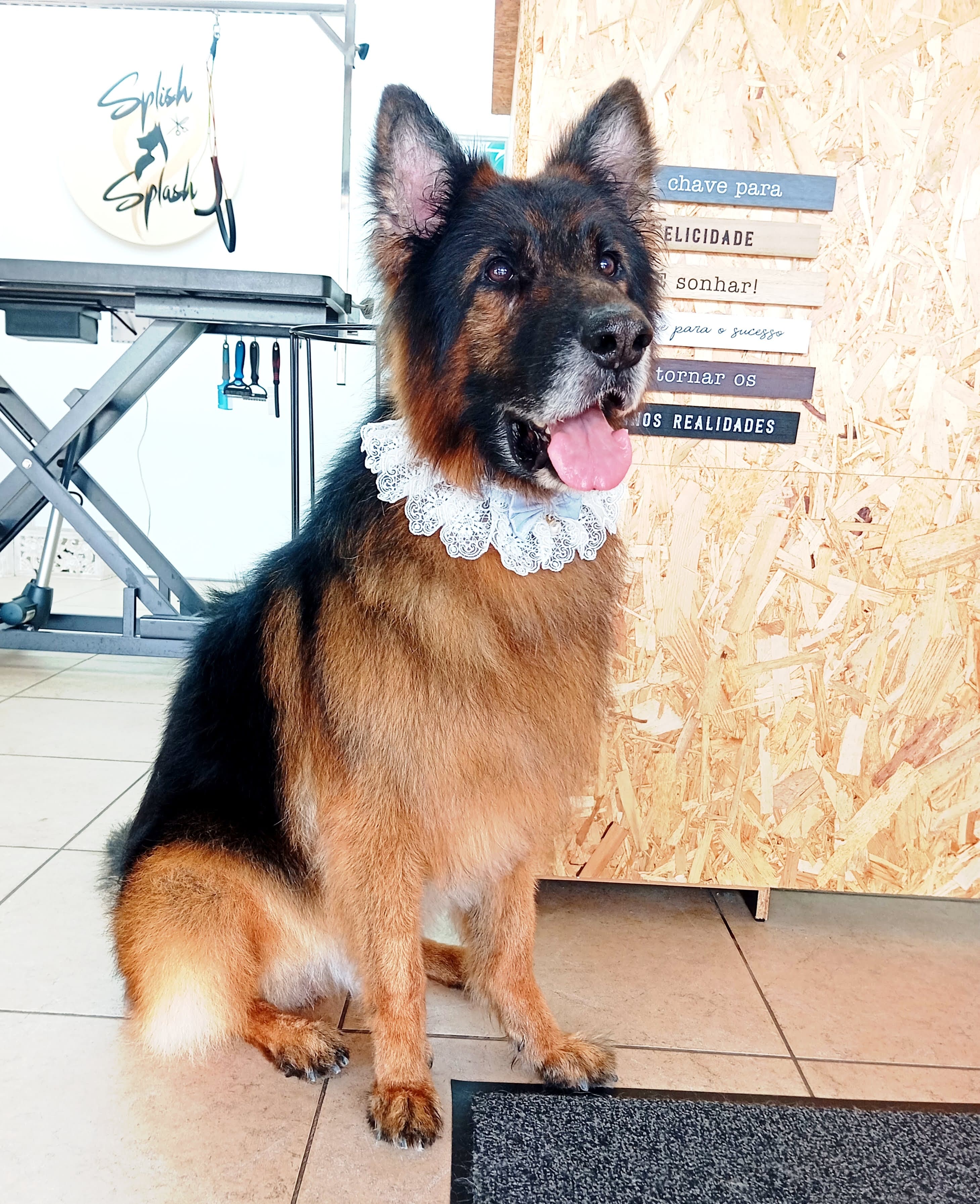 Raças Grandes - Detalhes do serviço